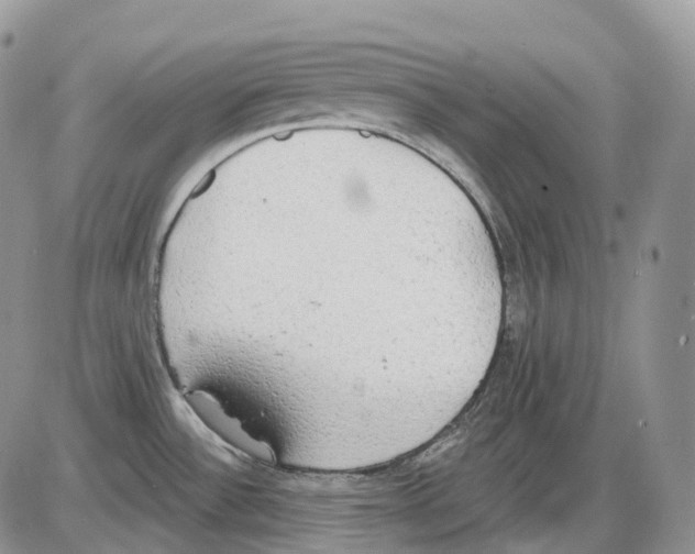 X0000086001532200704201819