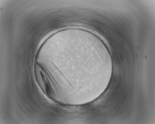 X0000086001533200704201819