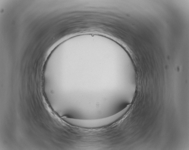 X0000086001534200704201819