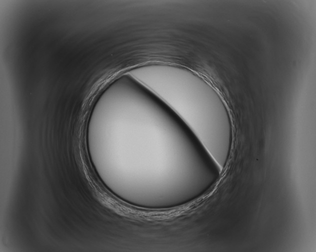 X0000086010001200703230921