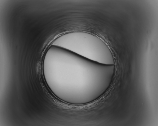 X0000086010002200703230921
