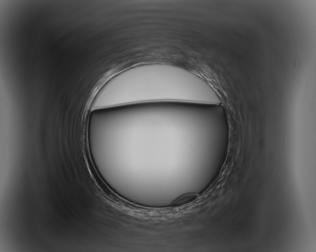 X0000086010003200703230921