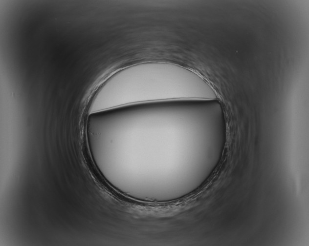 X0000086010005200703230921