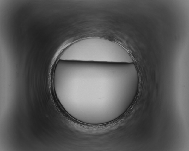 X0000086010006200703230921