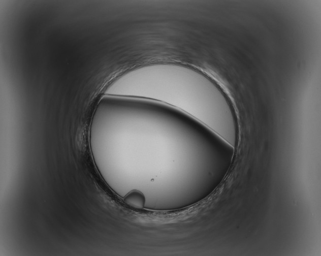X0000086010009200703230921