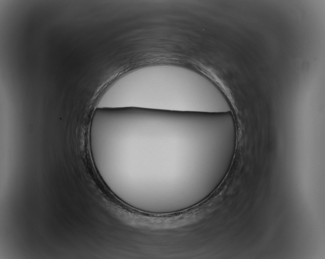 X0000086010010200703230921