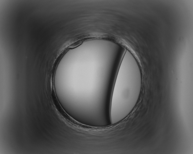 X0000086010011200703230921