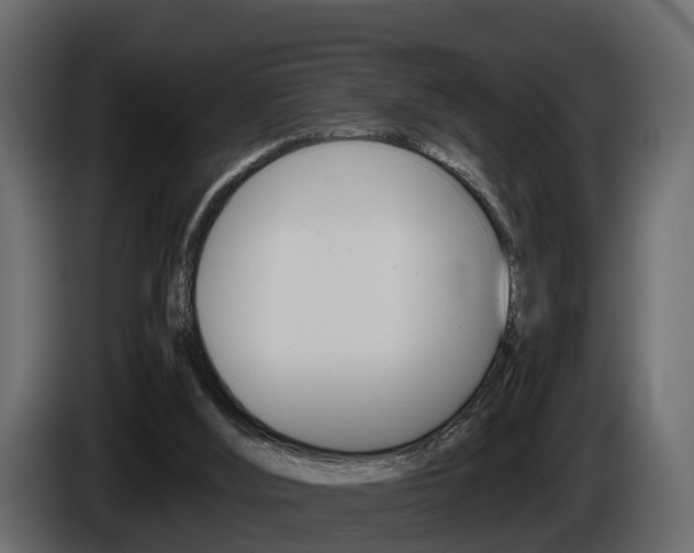 X0000086010012200703230921