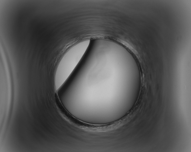 X0000086010013200703230921