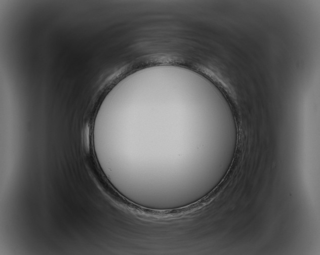 X0000086010014200703230921