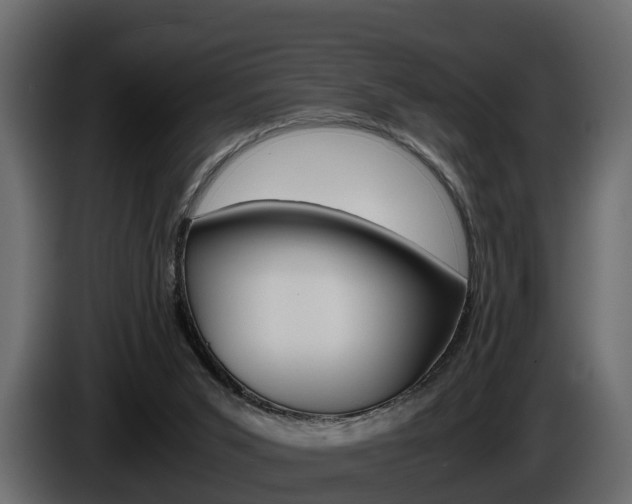 X0000086010015200703230921