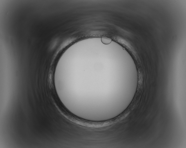 X0000086010016200703230921