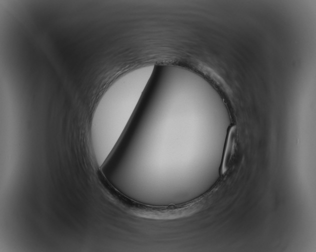 X0000086010017200703230921