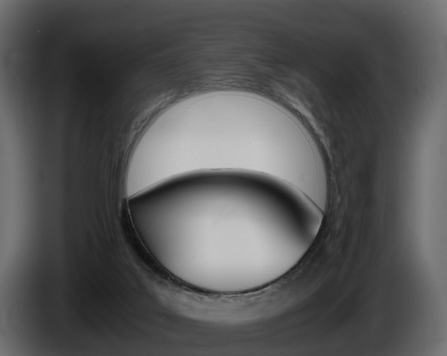 X0000086010019200703230921