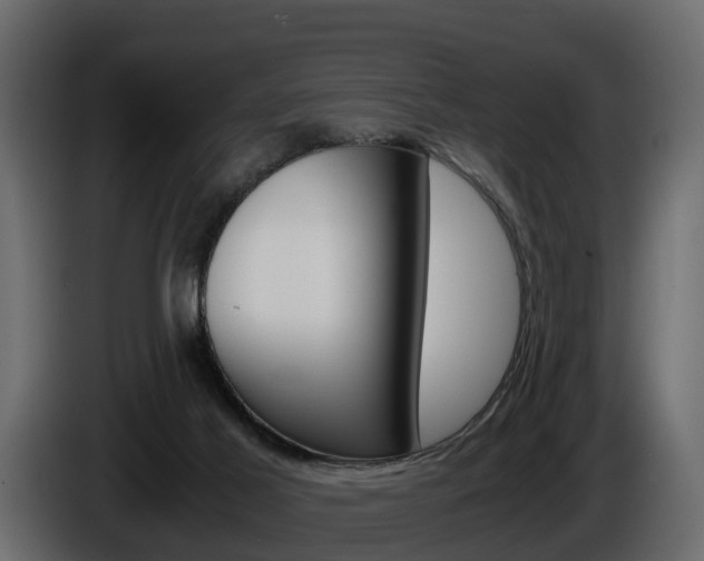 X0000086010021200703230921