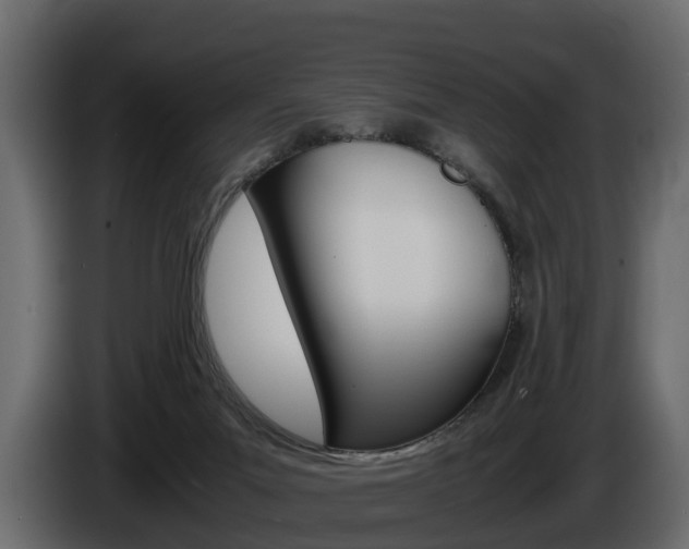 X0000086010023200703230921