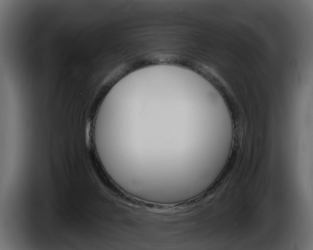 X0000086010024200703230921