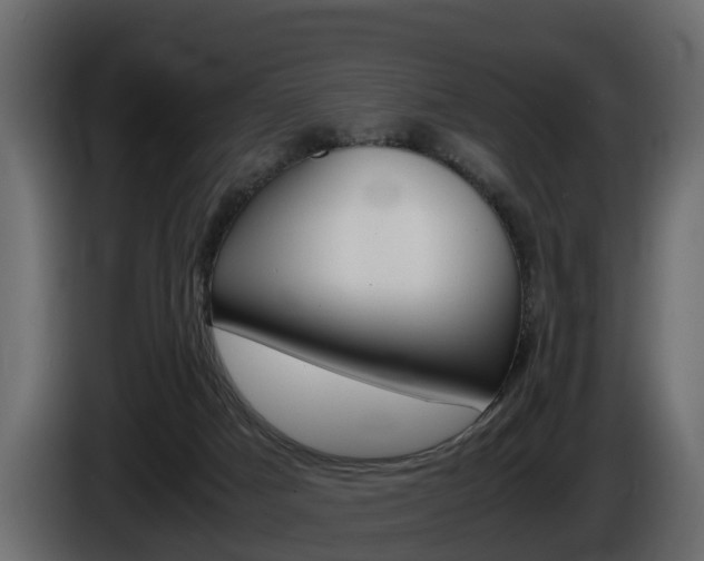 X0000086010025200703230921