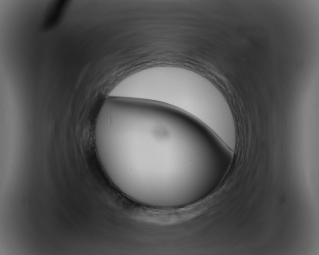 X0000086010029200703230920