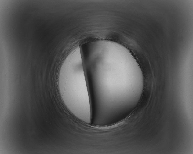 X0000086010031200703230920