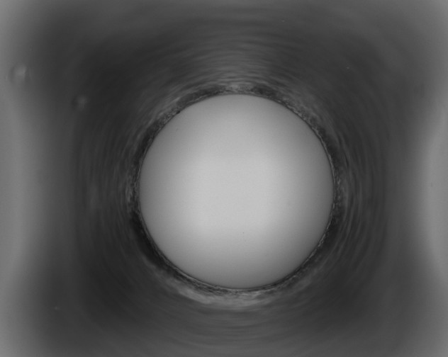 X0000086010032200703230920