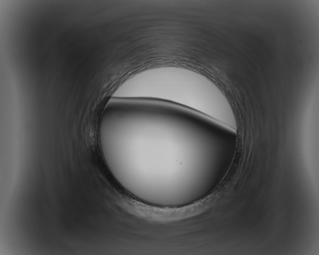 X0000086010039200703230920