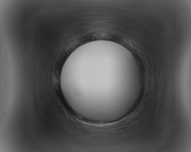 X0000086010040200703230920