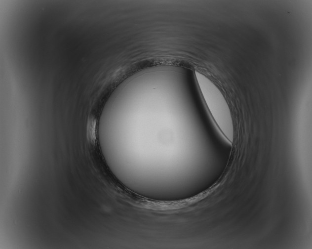 X0000086010041200703230920