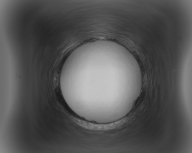 X0000086010043200703230920