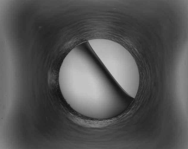X0000086010044200703230920