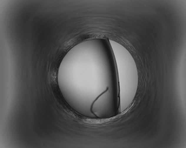 X0000086010045200703230920