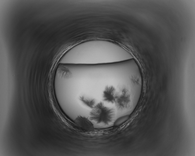 X0000086010049200703230919