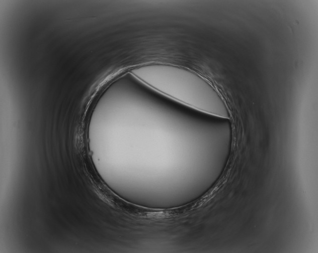 X0000086010050200703230919