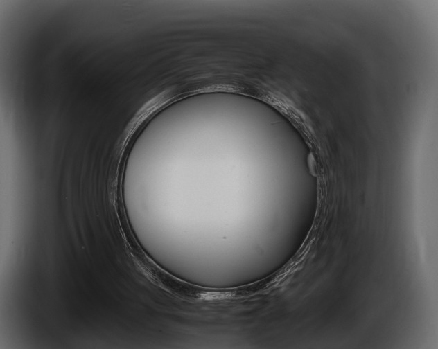 X0000086010051200703230919