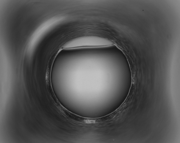 X0000086010052200703230919