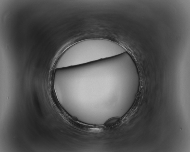 X0000086010053200703230919