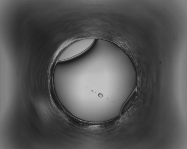 X0000086010054200703230920