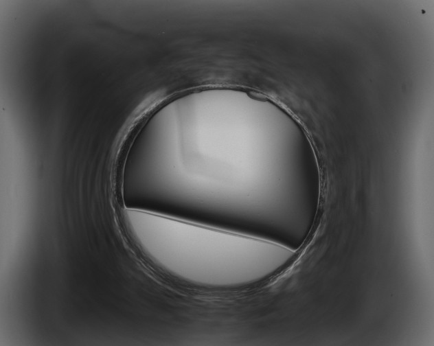 X0000086010055200703230920