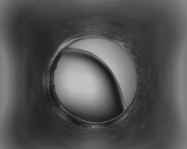 X0000086010056200703230920