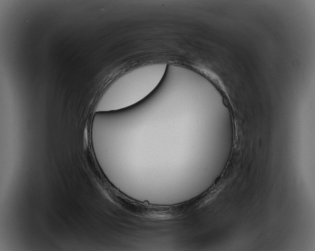 X0000086010061200703230920