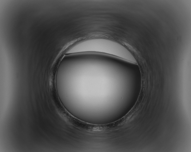 X0000086010064200703230920