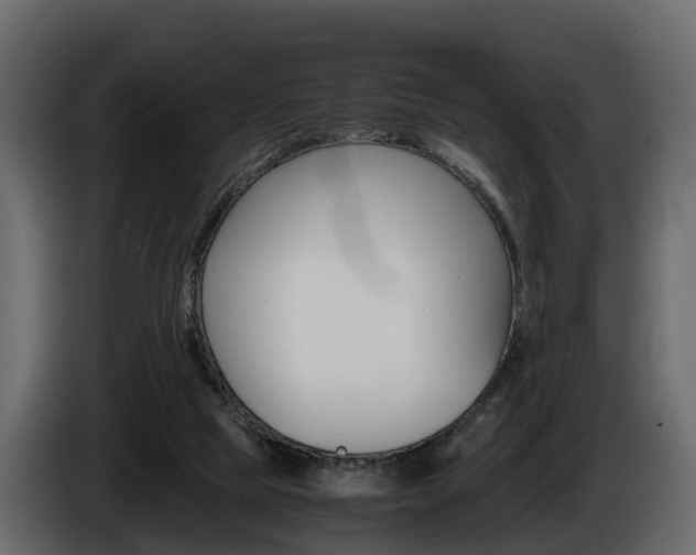 X0000086010065200703230920