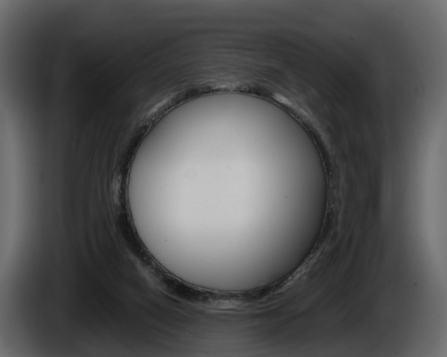 X0000086010066200703230920