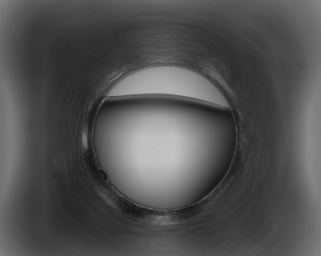 X0000086010068200703230920