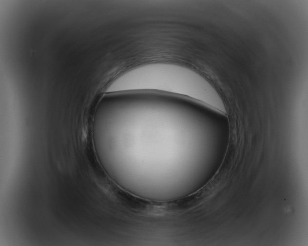 X0000086010072200703230920