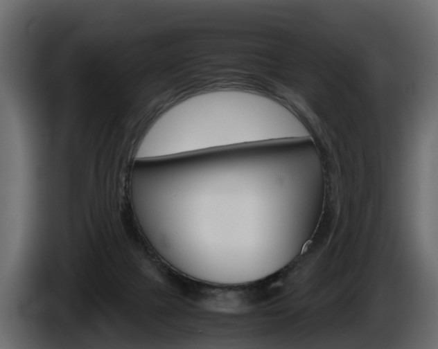X0000086010073200703230920