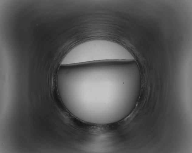 X0000086010074200703230920