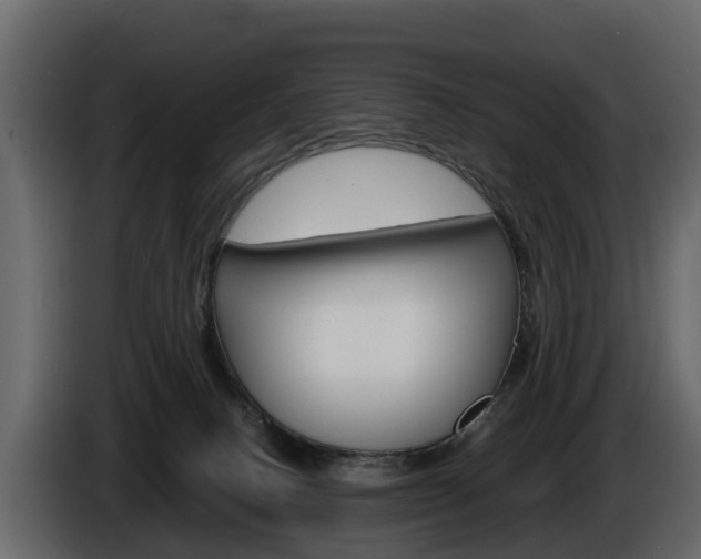 X0000086010082200703230920