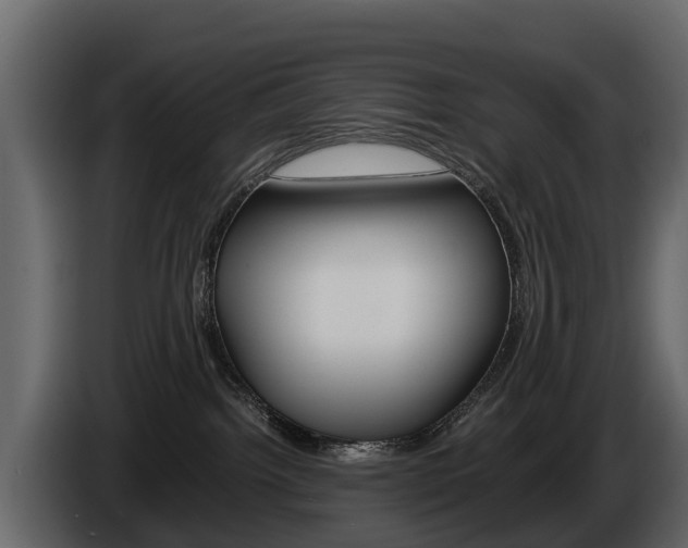 X0000086010092200703230920