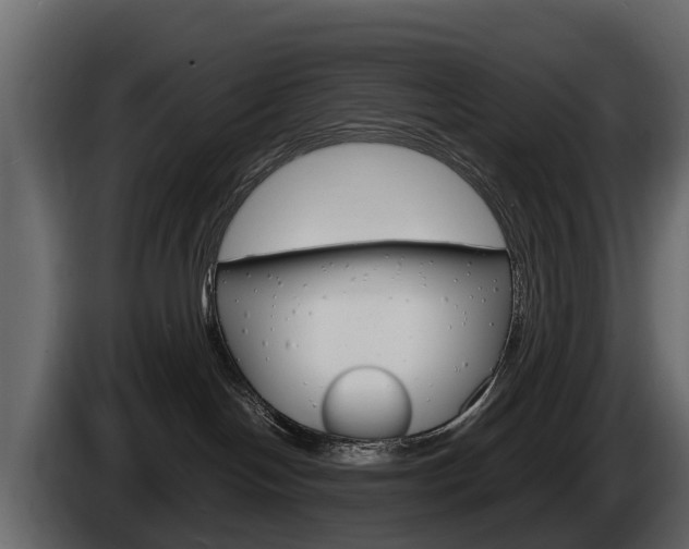 X0000086010094200703230920